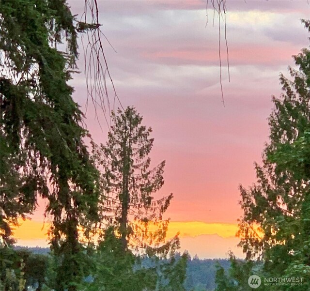 1501 209th Ave NE, Sammamish, WA 98074 - view of nature at dusk