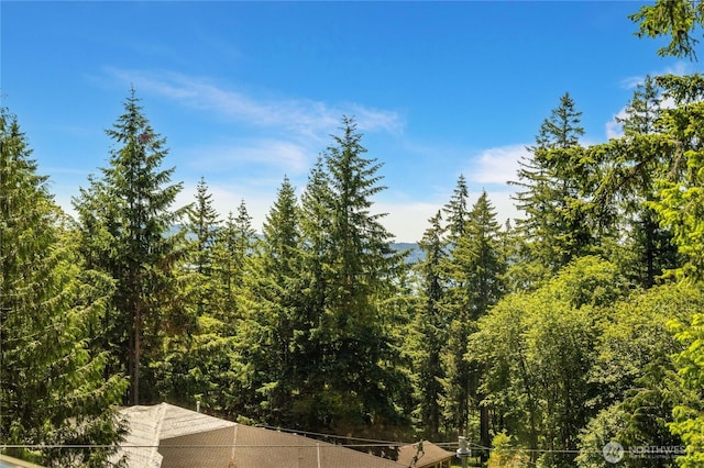1501 209th Ave NE, Sammamish, WA 98074 - view of wooded area