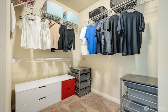 1501 209th Ave NE, Sammamish, WA 98074 - spacious closet featuring carpet floors