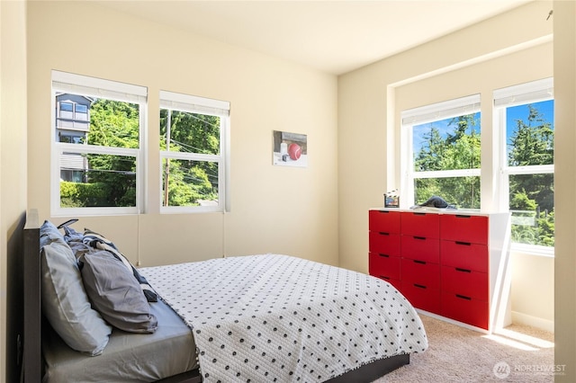 1501 209th Ave NE, Sammamish, WA 98074 - view of carpeted bedroom