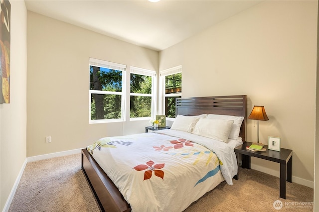 1501 209th Ave NE, Sammamish, WA 98074 - carpeted bedroom with baseboards
