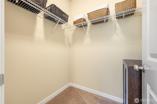 1501 209th Ave NE, Sammamish, WA 98074 - spacious closet with light carpet
