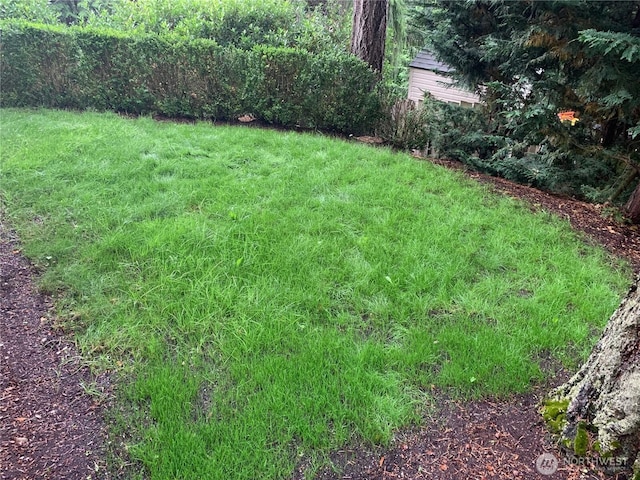 1501 209th Ave NE, Sammamish, WA 98074 - view of grassy yard
