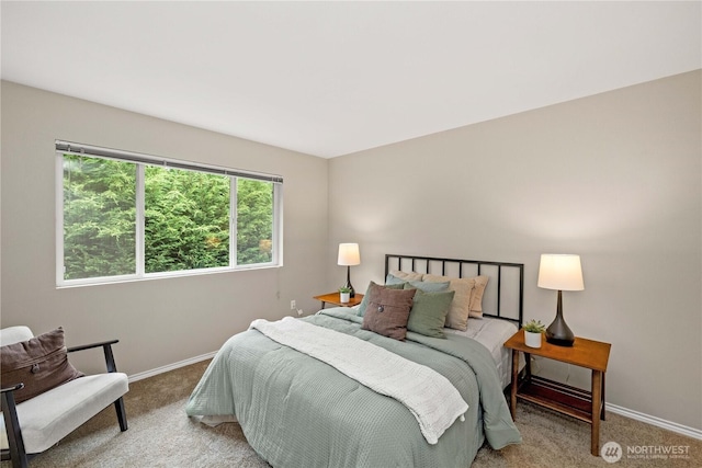 23820 SE 248th St, Maple Valley, WA 98038 - photo 23