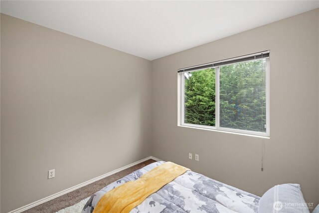 23820 SE 248th St, Maple Valley, WA 98038 - photo 28