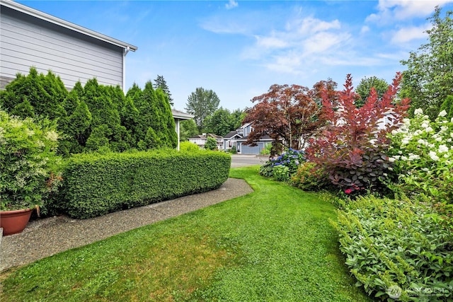 23820 SE 248th St, Maple Valley, WA 98038 - photo 36