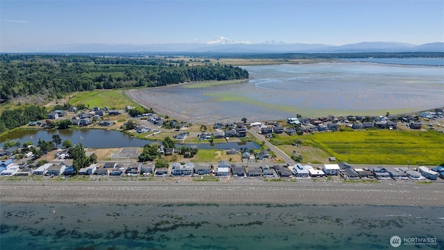 4421 Sucia Dr, Ferndale, WA 98248 - aerial view of residential area with a water and mountain view