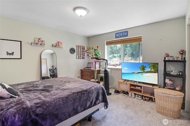 2840 Equus Ridge Ln SW, Tenino, WA 98589 - photo 22