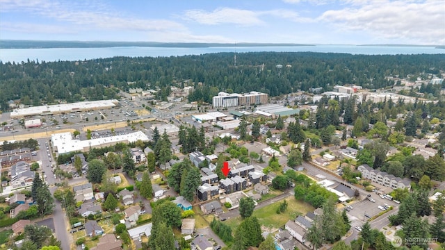 1323 N 185th St Unit A, Shoreline, WA 98133 - aerial overview of property's location featuring a forest and a nearby body of water