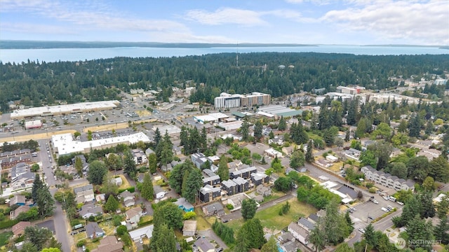 1323 N 185th St Unit A, Shoreline, WA 98133 - aerial view of property's location with a heavily wooded area and a large body of water