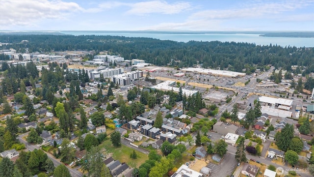 1323 N 185th St Unit A, Shoreline, WA 98133 - view of property location with a large body of water