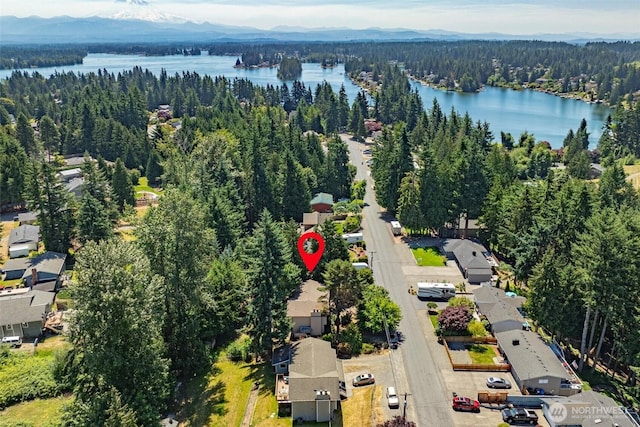 2417 179th Ave E, Lake Tapps, WA 98391 - aerial view of a forest and a water and mountain view