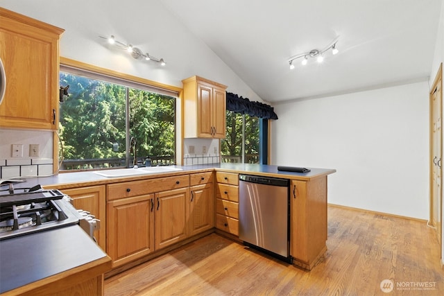 2417 179th Ave E, Lake Tapps, WA 98391 - kitchen featuring dishwasher, vaulted ceiling, light wood-type flooring, a peninsula, and plenty of natural light
