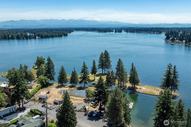 2417 179th Ave E, Lake Tapps, WA 98391 - bird's eye view of a water and mountain view and a heavily wooded area