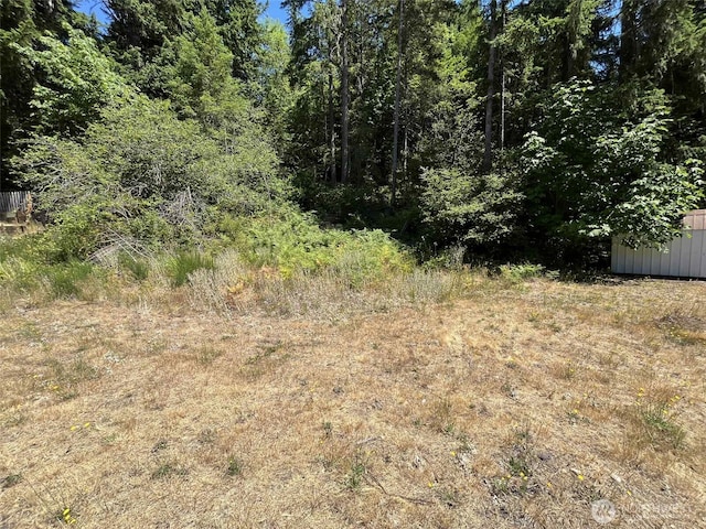 160 NE Rainbow Ln, Belfair, WA 98528 - photo 10
