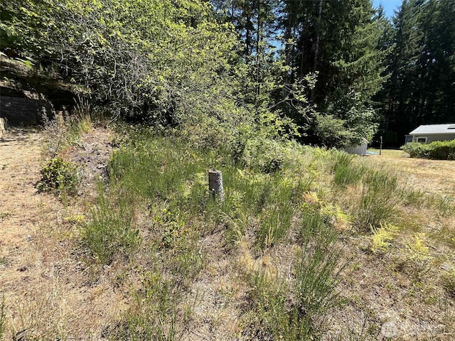 160 NE Rainbow Ln, Belfair, WA 98528 - photo 12