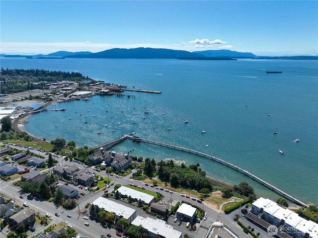618 12th St, Bellingham, WA 98225 - bird's eye view of a water and mountain view