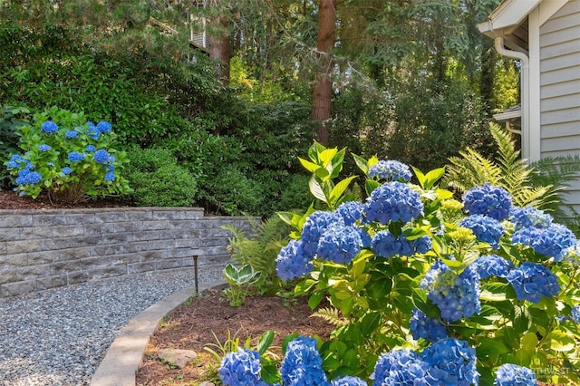 13297 SE 54th Pl, Bellevue, WA 98006 - photo 35