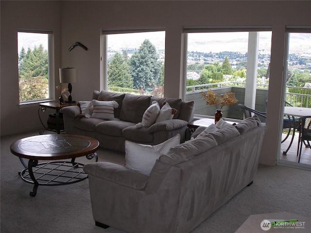 1601 Maiden Ln Unit B104, Wenatchee, WA 98801 - view of carpeted living area