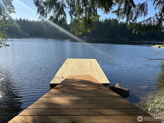 4945 Lakeside Dr, Langley, WA 98260 - photo 2
