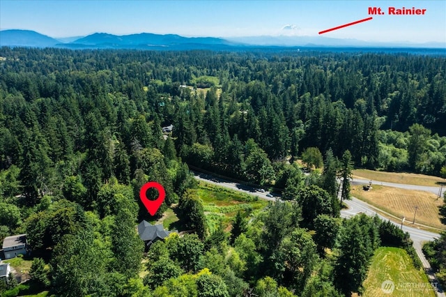 19735 183rd Way SE, Renton, WA 98058 - aerial view of a heavily wooded area and a mountain backdrop