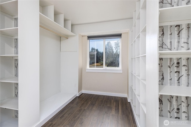 120 E Rd Of Tralee, Shelton, WA 98584 - walk in closet with dark wood-style flooring