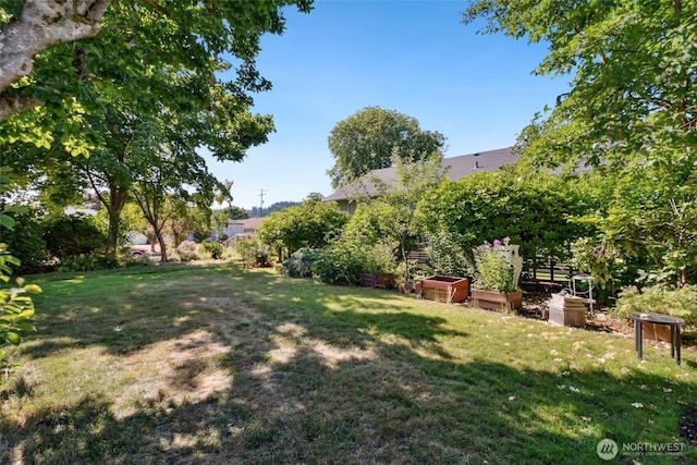 511 N Iron St, Centralia, WA 98531 - view of green lawn with a vegetable garden