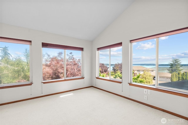 5225 Illahee Ln NE, Olympia, WA 98516 - empty room with a water view, healthy amount of natural light, light carpet, and vaulted ceiling