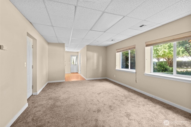 5225 Illahee Ln NE, Olympia, WA 98516 - empty room with carpet, healthy amount of natural light, and a drop ceiling