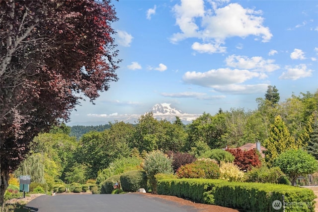 5225 Illahee Ln NE, Olympia, WA 98516 - surrounding community featuring a wooded view