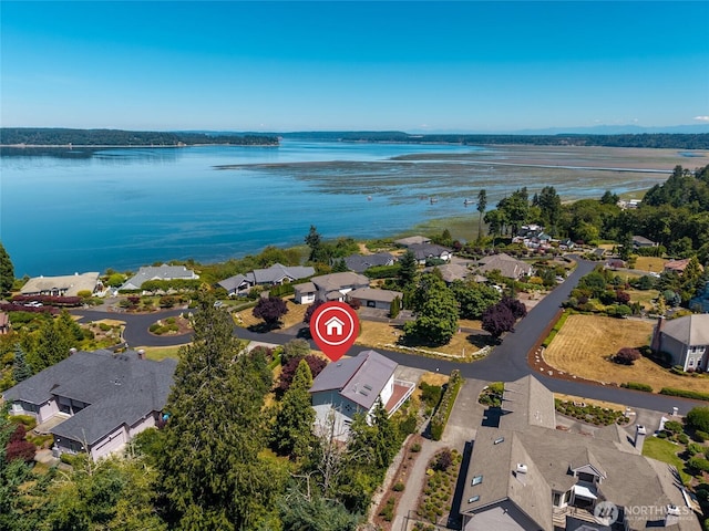 5225 Illahee Ln NE, Olympia, WA 98516 - aerial view of residential area with a large body of water