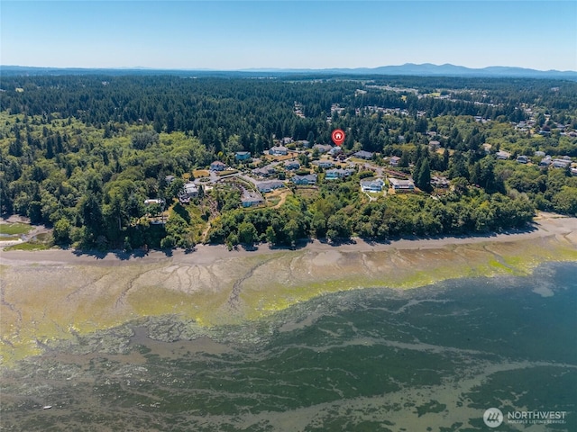 5225 Illahee Ln NE, Olympia, WA 98516 - view of property location with a heavily wooded area and mountains