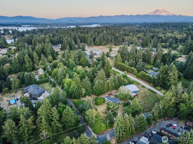 0 166th Ave E, Lake Tapps, WA 98391 - photo 1