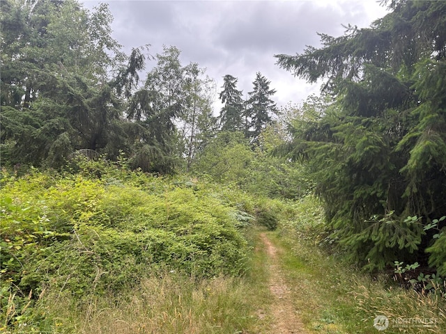 0 166th Ave E, Lake Tapps, WA 98391 - photo 10