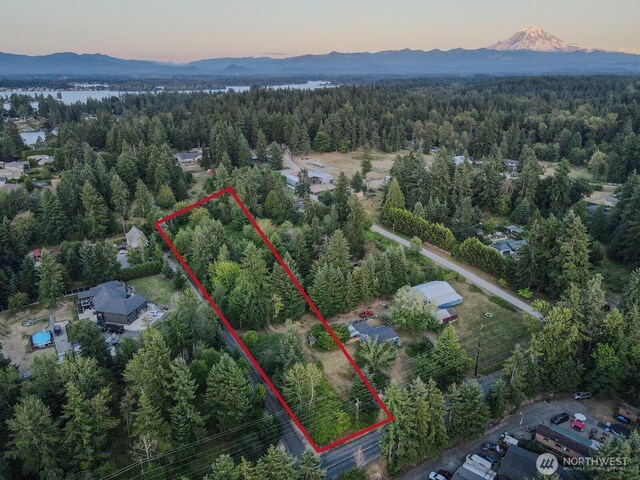 0 166th Ave E, Lake Tapps, WA 98391 - photo 2