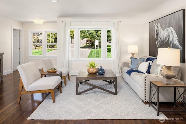 10841 NE 108th St, Kirkland, WA 98033 - photo 11