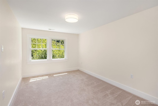 10841 NE 108th St, Kirkland, WA 98033 - photo 29