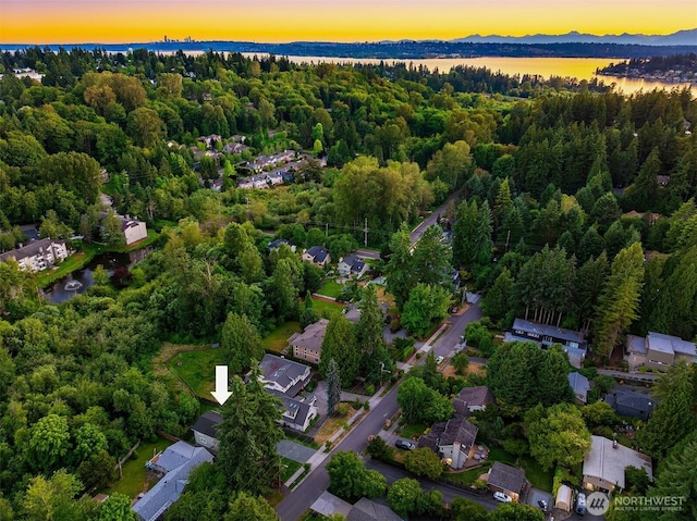 10841 NE 108th St, Kirkland, WA 98033 - photo 38