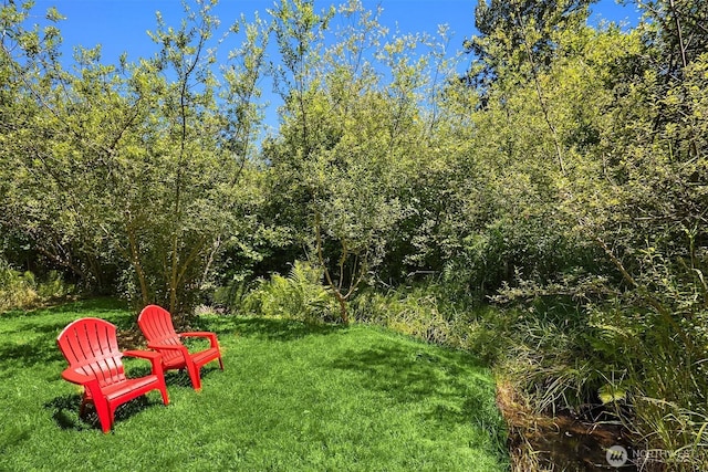 10841 NE 108th St, Kirkland, WA 98033 - photo 34