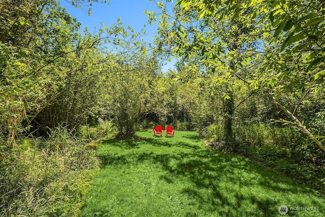 10841 NE 108th St, Kirkland, WA 98033 - photo 36
