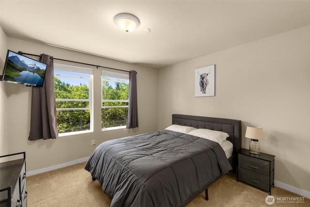 14715 Admiralty Way Unit A4, Lynnwood, WA 98087 - photo 15