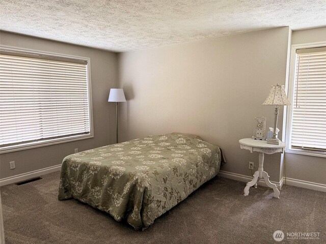 598 Blue Wing Loop SE, Ocean Shores, WA 98569 - bedroom with carpet floors, a textured ceiling, and multiple windows