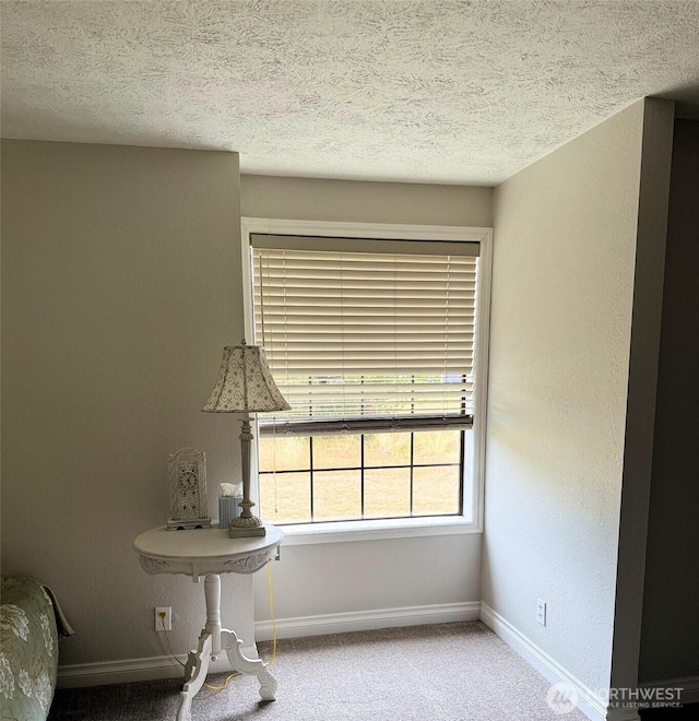 598 Blue Wing Loop SE, Ocean Shores, WA 98569 - detailed view of carpet floors and a textured ceiling