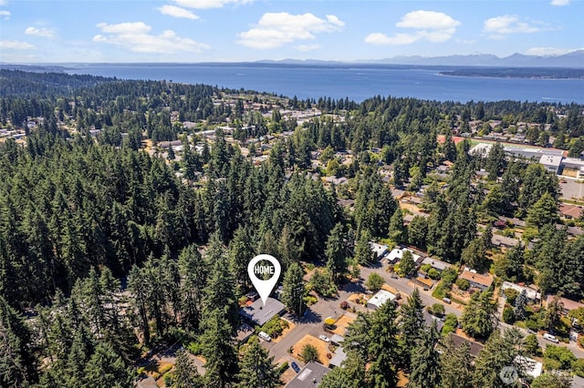 119 N 193rd St, Shoreline, WA 98133 - photo 33