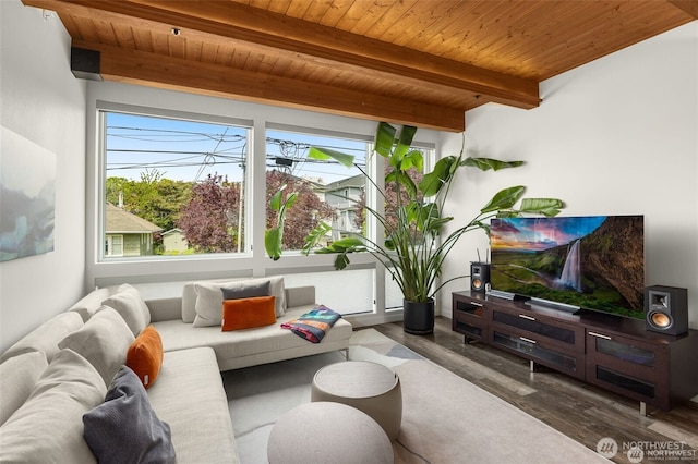 917 NW 51st St Unit D, Seattle, WA 98107 - living area with a wood ceiling with exposed beams and wood finished floors