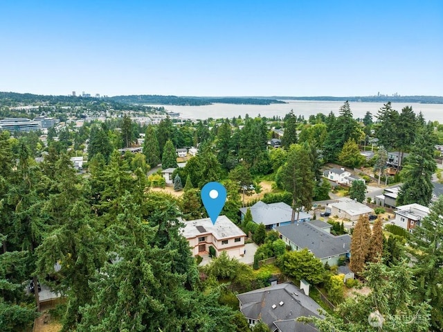 1409 4th St, Kirkland, WA 98033 - photo 39