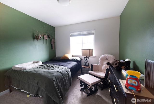 901 161st Street Ct E, Spanaway, WA 98387 - photo 23