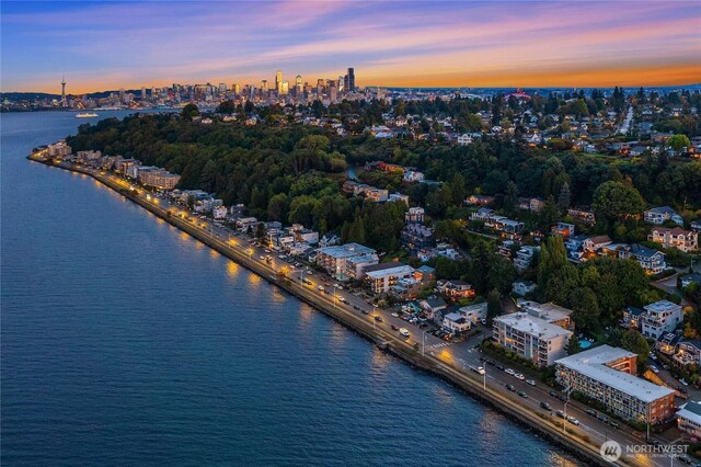 3033 48th Ave SW, Seattle, WA 98116 - aerial view at dusk of a water view and a city view