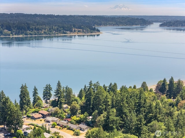 3822 NW View Ln, Silverdale, WA 98338 - photo 29