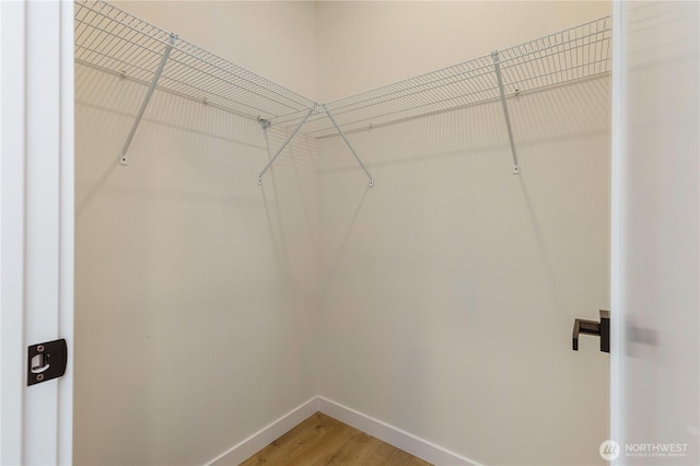 5310 46th Ave S, Seattle, WA 98118 - walk in closet with wood finished floors